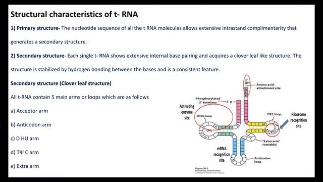 RNA смотреть онлайн
