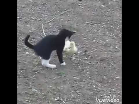 Если друг оказался вдруг...