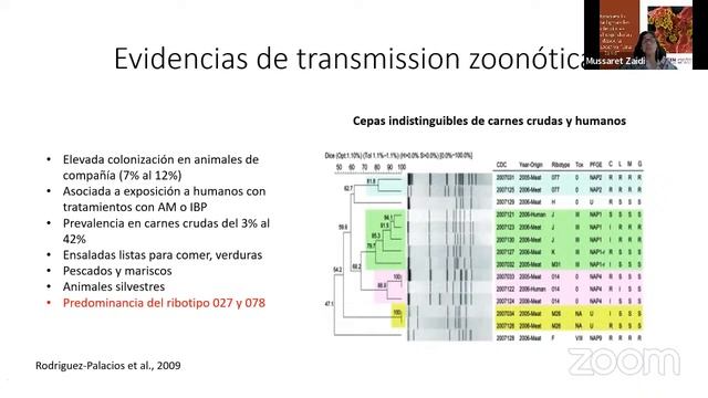 Rompiendo paradigmas: las infecciones intrahospitalarias desde la perspectiva de "Una Salud" смотреть онлайн