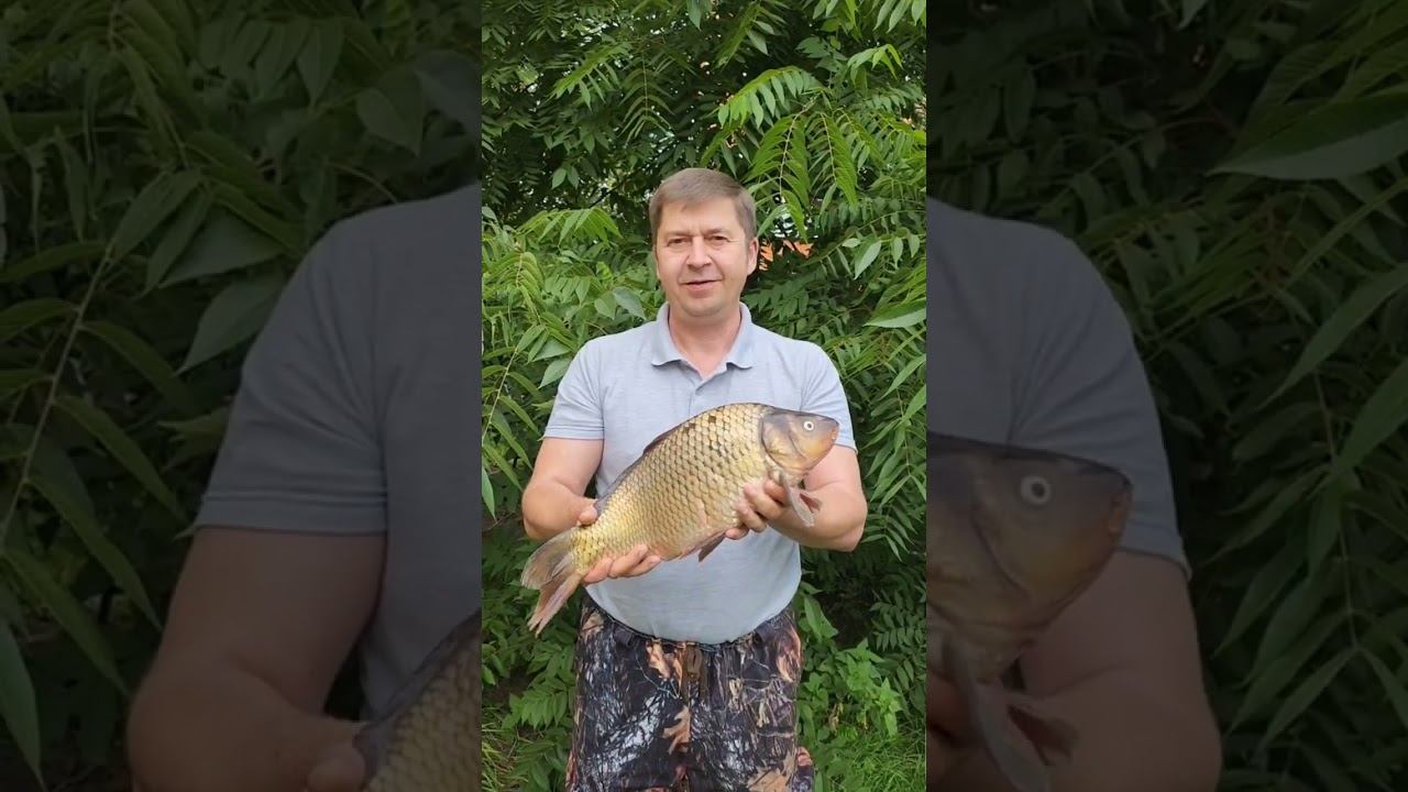 Предназначение мужчины? #нумерология #предназначение смотреть онлайн