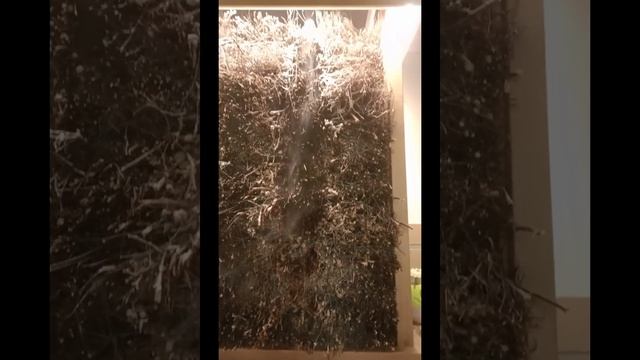 Нижнекамские Термы. Была впервые, очень хорошо отдохнула.