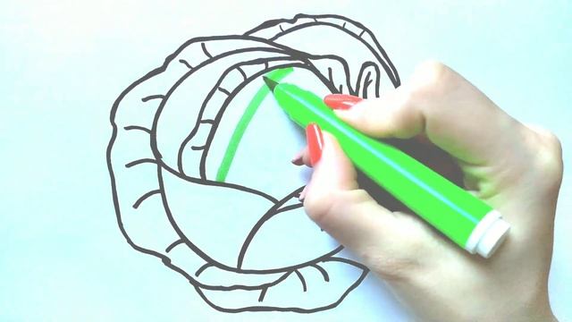 Как нарисовать КАПУСТУ ОВОЩ / Мультик раскраска КАПУСТА / Нарисуй Ка смотреть онлайн