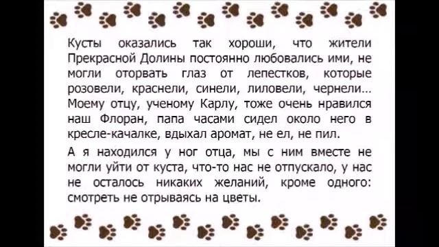 Амулет Добра Дарья Донцова Глава 8 смотреть онлайн