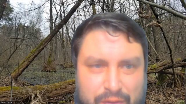 Wood industry UA: чому потрібен системний діалог екологів, лісівників та деревообробників смотреть онлайн