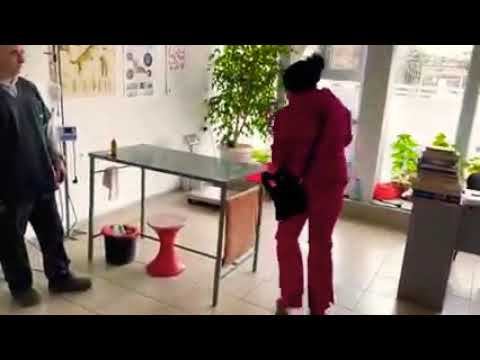 Бела смотреть онлайн