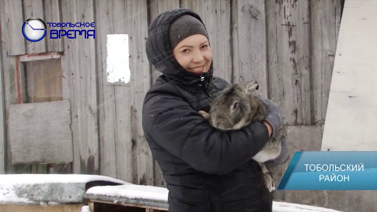 СЕЛЬСКИЕ ПРЕДПРИНИМАТЕЛИ смотреть онлайн