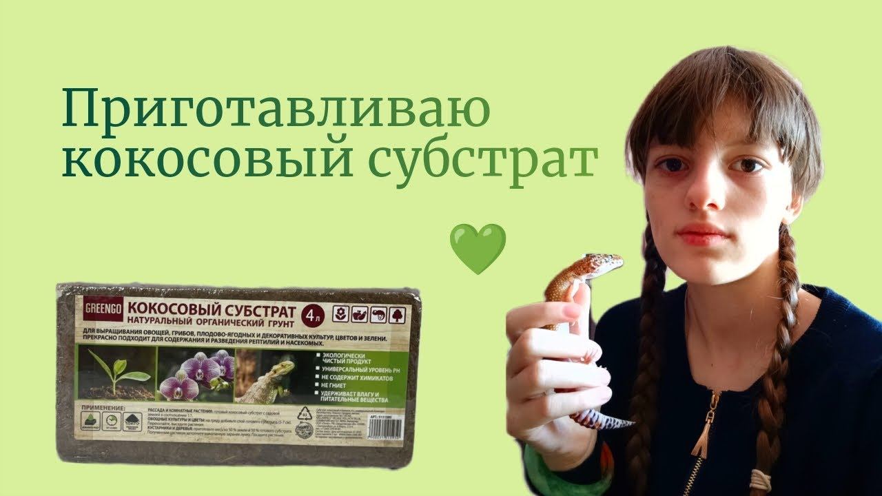 Кокосовый субстрат для улиток и прыткой ящерицы 💚 смотреть онлайн