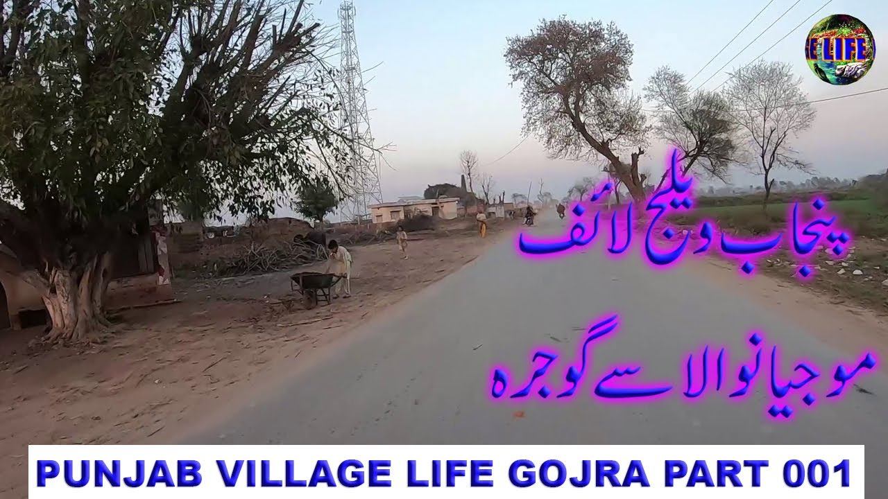 PUNJAB VILLAGE LIFE GOJRA PART 001 / MOJIANWALA TO GOJRA смотреть онлайн