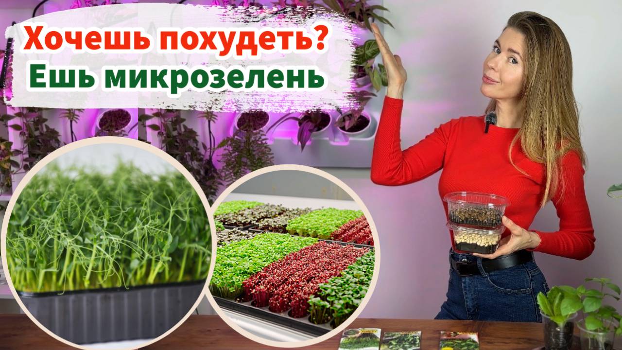 Как легко и бюджетно выращивать микрозелень. Мой заказ в Аэлите смотреть онлайн