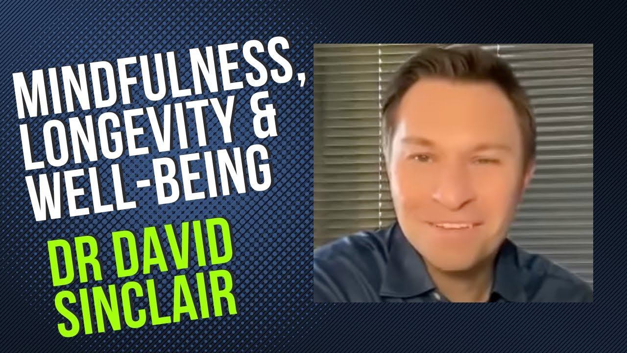 Dr David Sinclair on Mindfulness, Longevity, and Well-Being смотреть онлайн