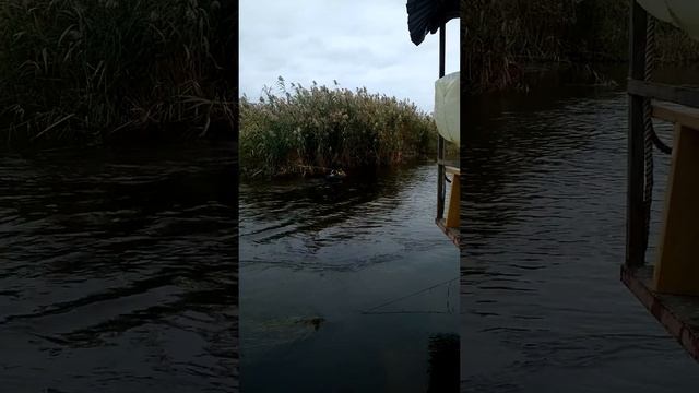 4 августа 2020 г. смотреть онлайн