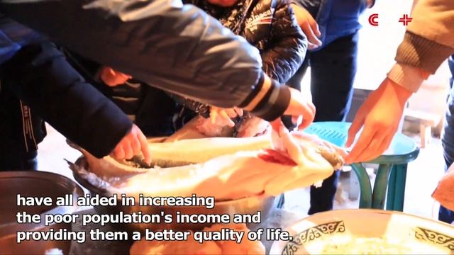 China Lifts 740 Million People out of Poverty in Four Decades смотреть онлайн
