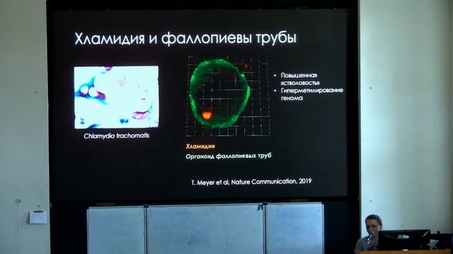 Татьяна Шнайдер ""Миниорганы" смотреть онлайн