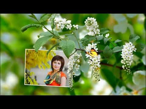 стиль для ProShow Producer 7 "Фотография на паутинке" смотреть онлайн