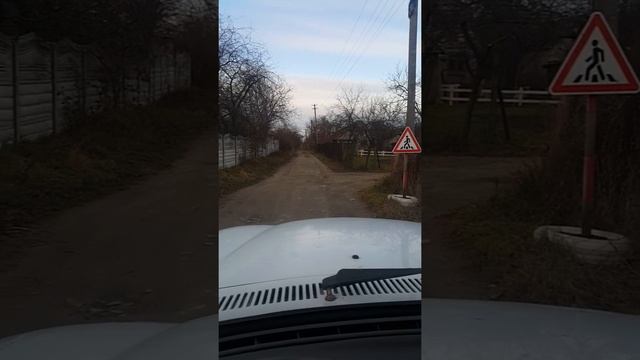 [Natalex] Пешеходный переход #shorts смотреть онлайн