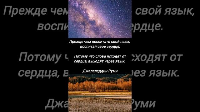 Джалаледдин Руми о сердце #цитаты смотреть онлайн