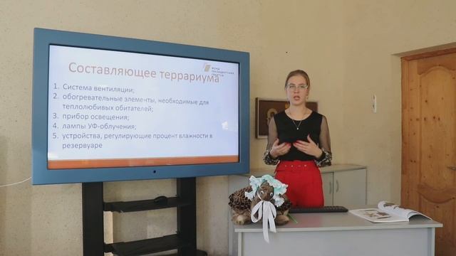 Виды террариумов смотреть онлайн