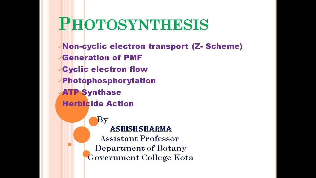 Ashish Sharma ETC & Photophosphorylation BSc-III смотреть онлайн