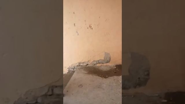 Проверка на прочность смотреть онлайн