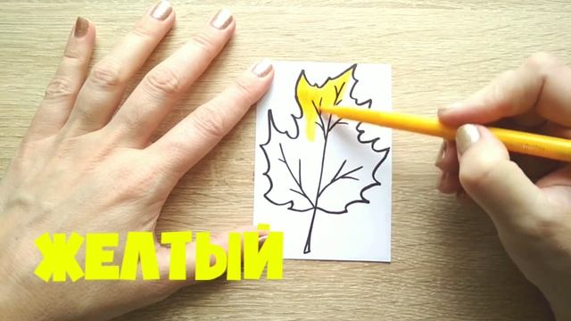 ЛИСТ КЛЕНА / раскраска КЛЕНОВЫЙ ЛИСТ / Нарисуй Ка смотреть онлайн