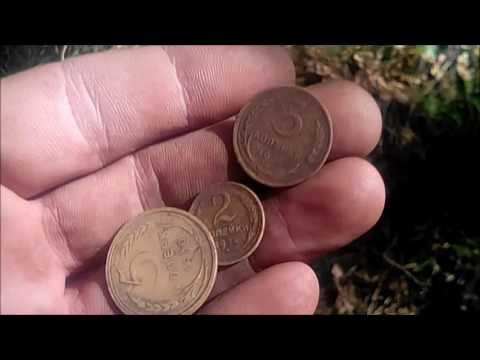 Лесной поиск монет! Forest search for coins! смотреть онлайн