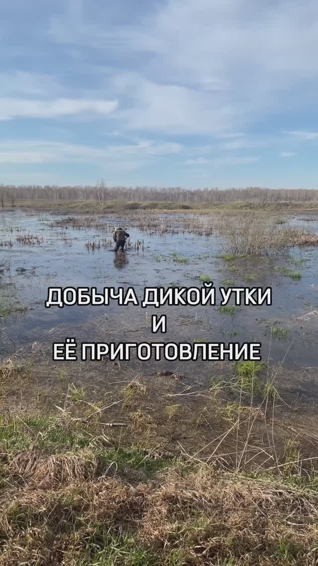 ВЕСЕЛАЯ СЕМЕЙКА 👍
