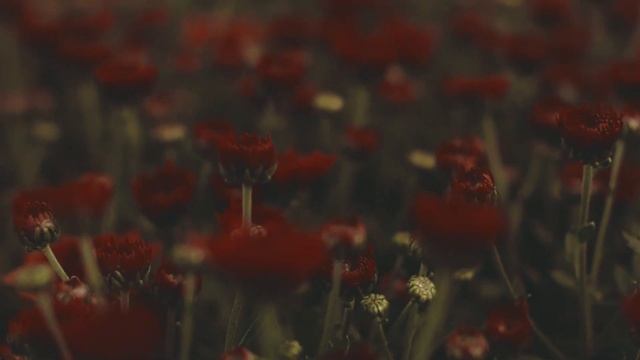 ЭТО БЫЛА НЕ ЛЮБОВЬ, А ПРОСТО УВЛЕЧЕНИЕ Любовные Истории Аудио Рассказ смотреть онлайн