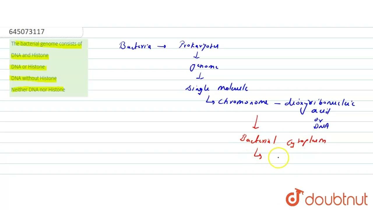 The bacterial genome consists of | 12 | NTA NEET SET 53 | BIOLOGY | NTA MOCK TESTS ENGLISH | Dou... смотреть онлайн