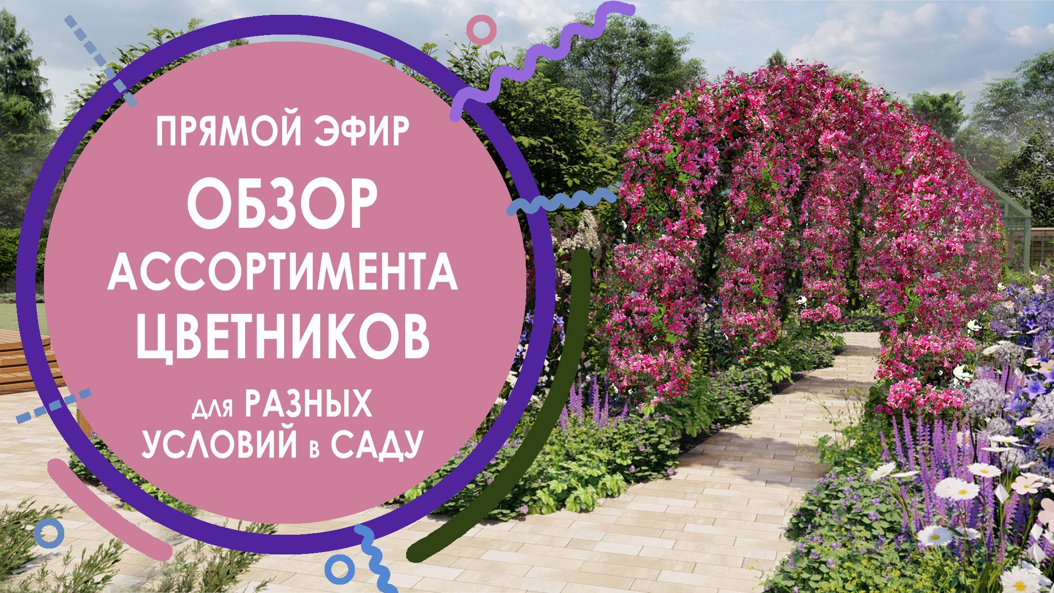 ПРЯМОЙ ЭФИР ОБЗОР АССОРТИМЕНТА ЦВЕТНИКОВ ДЛЯ РАЗЛИЧНЫХ УСЛОВИЙ В САДУ