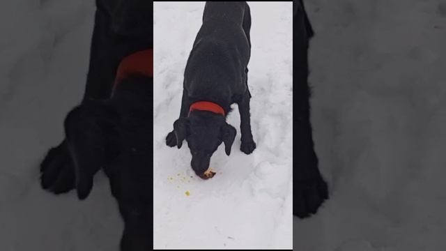 Халява 😄😉😏