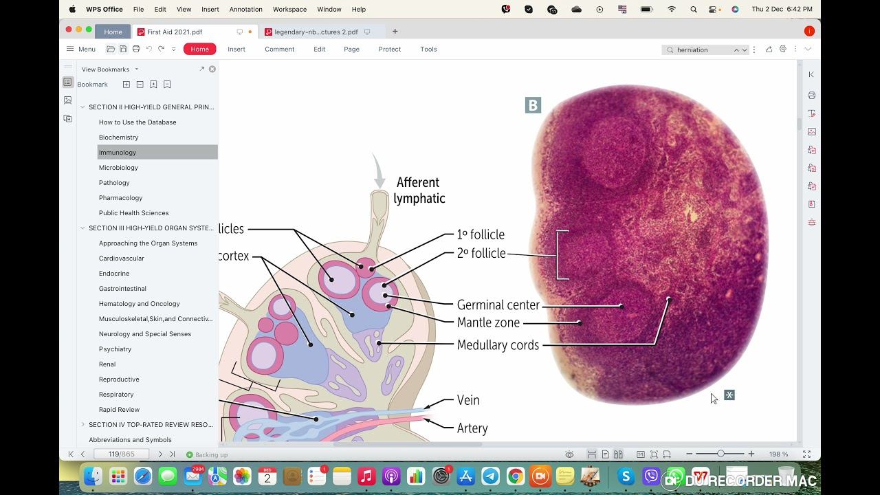 Immunology 1 смотреть онлайн