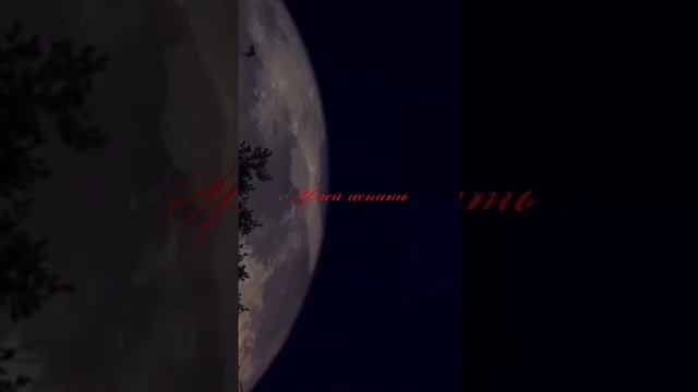 Заклинание смотреть онлайн