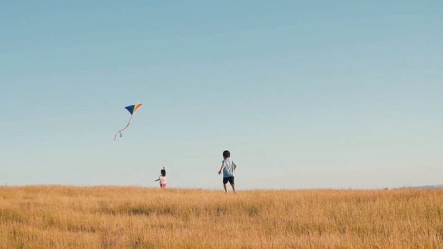 VITAL FROSI - DE ONDE VÊM OS ESPÍRITOS SIMPLES E IGNORANTES смотреть онлайн