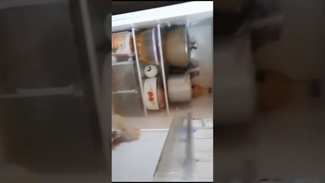 вечерний влог смотреть онлайн