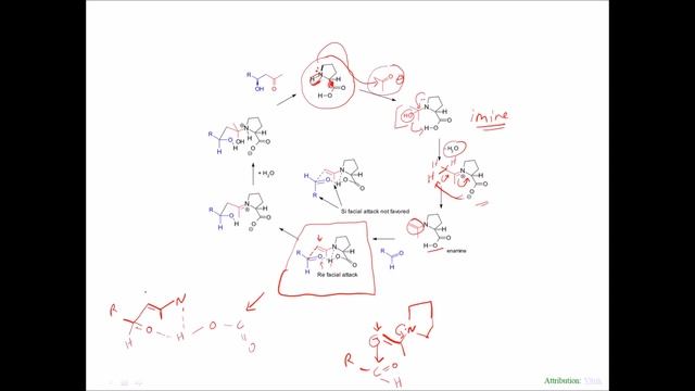 Proline Catalyzed Asymmetric Aldol Reaction смотреть онлайн