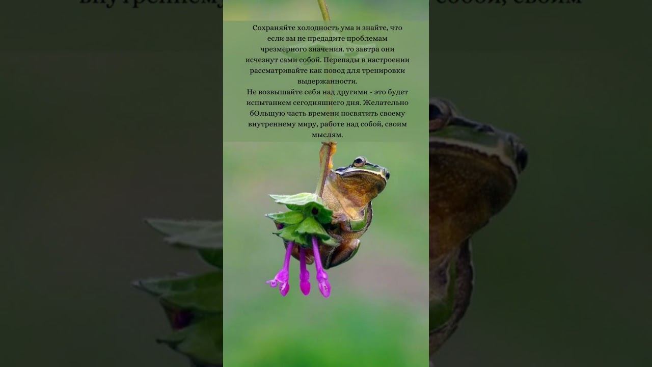 🔴 6 МАРТА 💐 ЛУННЫЙ КАЛЕНДАРЬ И АСТРОСОВЕТ НА СРЕДУ #лунныйкалендарь #астропрогноз #лунныйдень смотреть онлайн