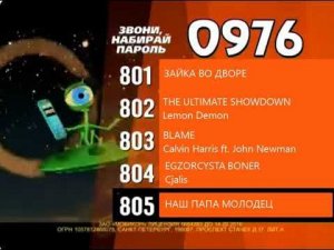 Реклама на BRIDGE TV 2013 (25/40)