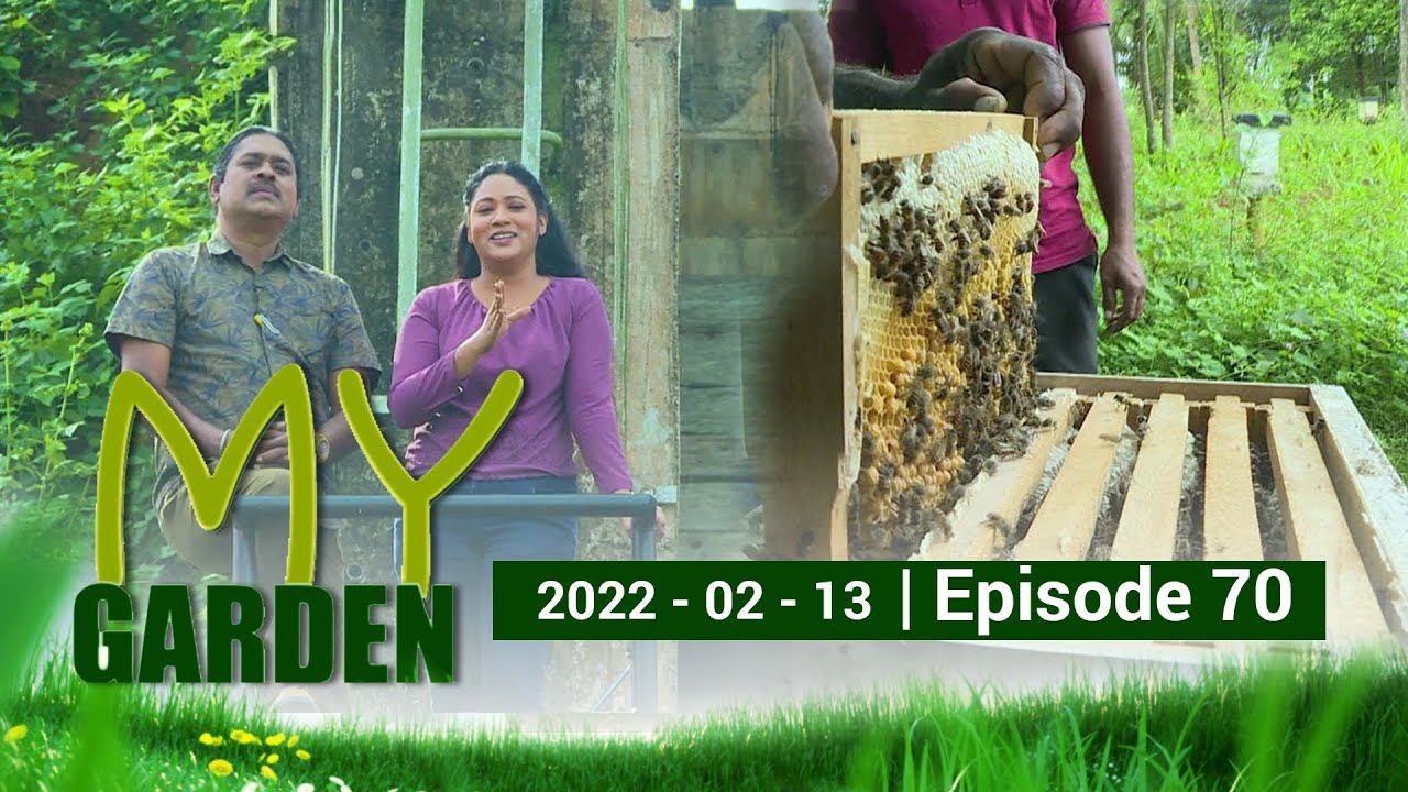 My Garden | Episode 70 | 13 - 02 - 2022 | Siyatha TV смотреть онлайн