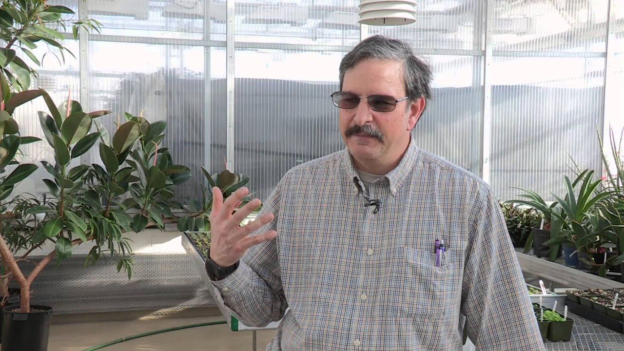 Jim Myers, Vegetable Breeder смотреть онлайн