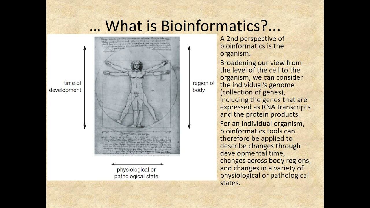 bioinformatics смотреть онлайн
