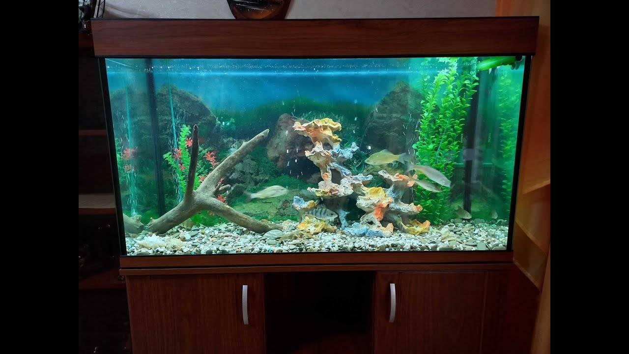 Рыбацкий аквариум.