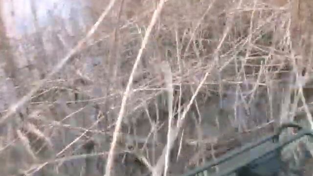 Выгон рыбы из камыша аэроботом смотреть онлайн