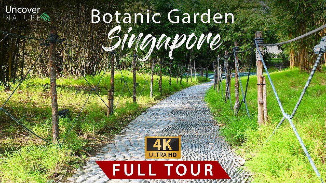 Botanic Garden | Singapore | Full Tour | 4K смотреть онлайн