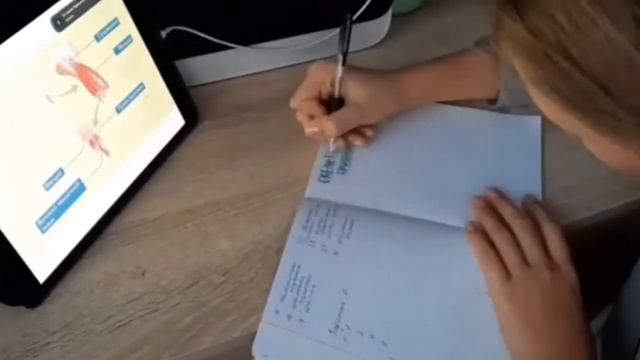 STUDY WITH ME | УЧИСЬ СО МНОЙ | УЧЕБА НА КАРАНТИНЕ смотреть онлайн
