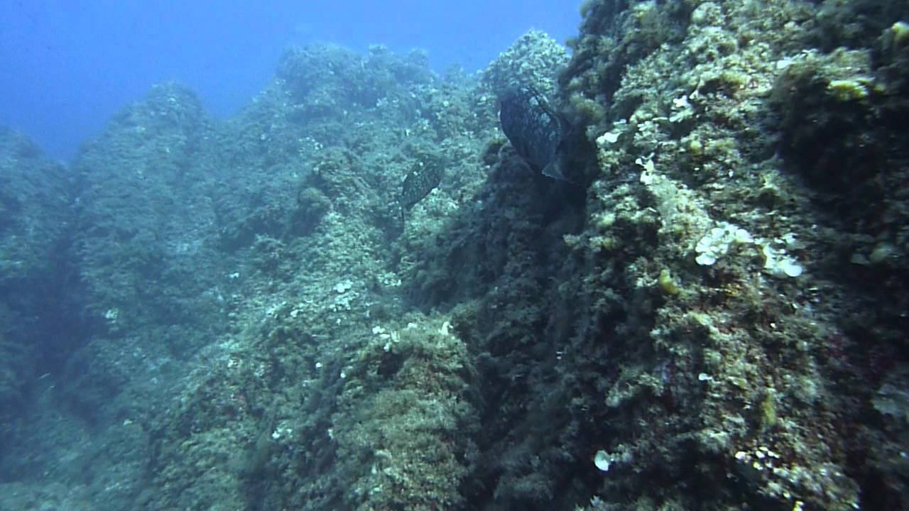 Papa, maman, la bonne et moi смотреть онлайн