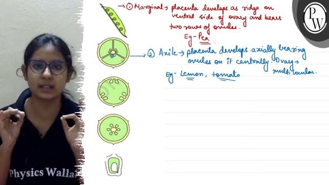 D \( \rightarrow \) (1) Marginal \( \rightarrow \) placenta develop... смотреть онлайн