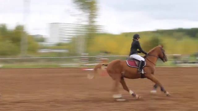 Полина Кессель и Аль Гранд 70 см смотреть онлайн