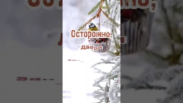 Завтра уже Зима смотреть онлайн