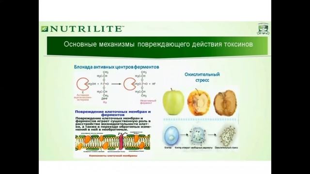 Детокс или DETOX от Nutrilite