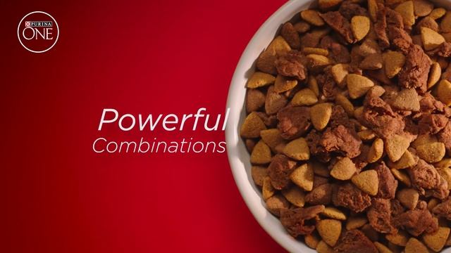 A visibly healthier pet in 28 days with Purina ONE® смотреть онлайн